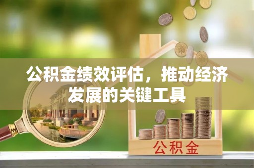 吉隆公积金绩效评估，推动经济发展的关键工具